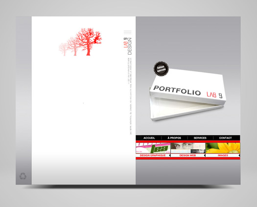 webcolours portfolio : lab9 design web